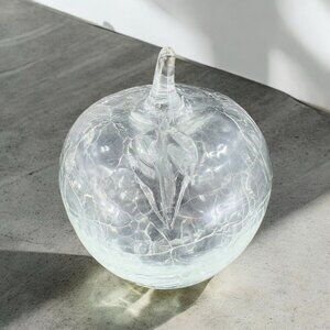 Vintage Clear Hand Blown Crackle Glass Fruit Apple Hollow Glass Figurine Decor